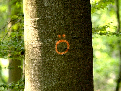 &Ouml;