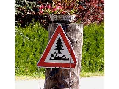 Schwarzwald